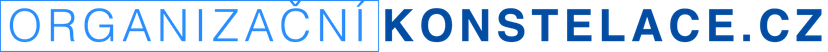 Organizační konstelace